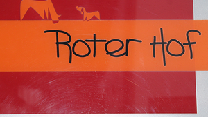 Ergotherapie mit Tieren