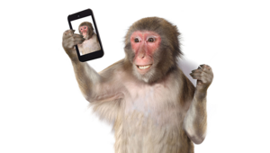 Selfie-Wahn